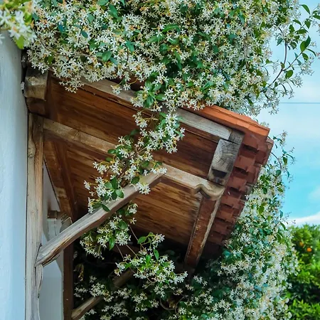 Cozy House In Pelion Lägenhet *